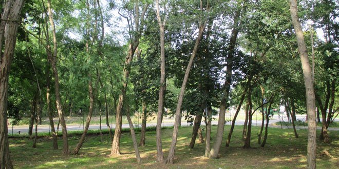 IFOCOP - Cergy Pontoise