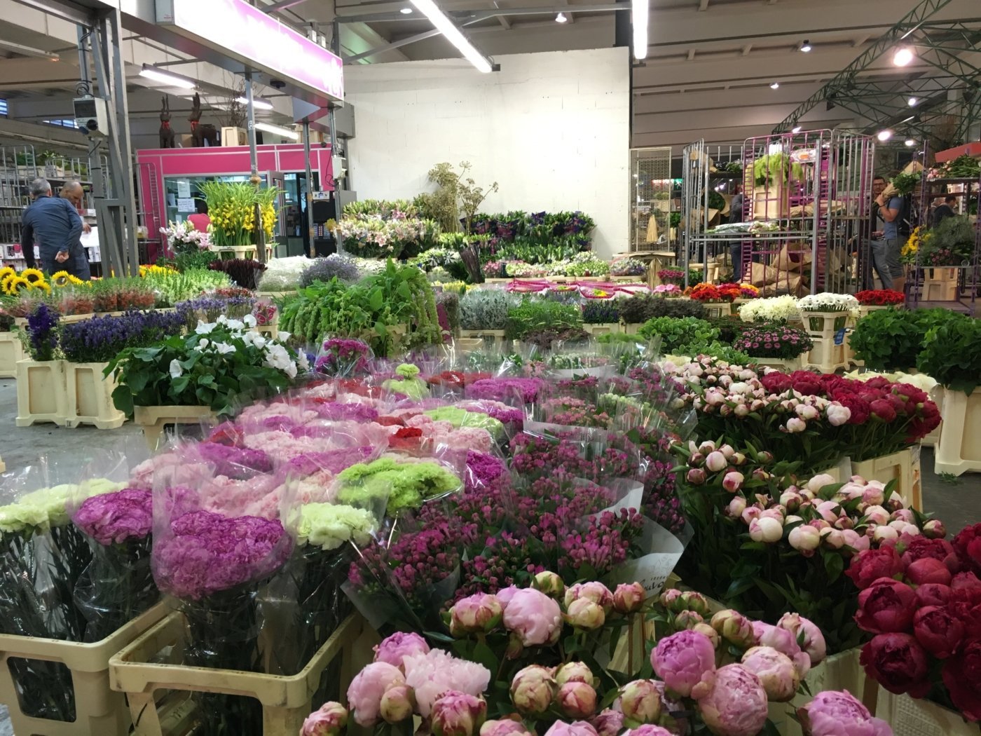 Visite du Marché d'intérêt national de Rungis (très) matinale pour notre promo acheteur de l'IFOCOP !