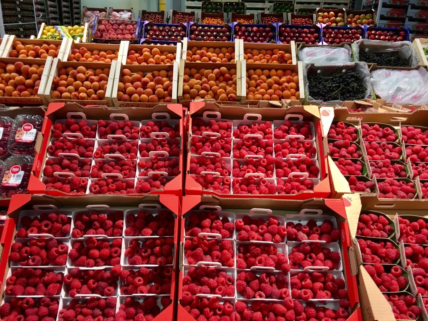 Visite du Marché d'intérêt national de Rungis (très) matinale pour notre promo acheteur de l'IFOCOP !