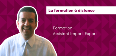 Ali - Assistant Import-Export