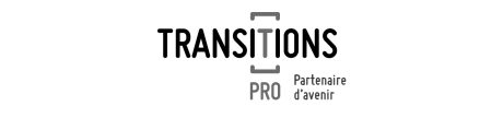 Logo Transition Pro